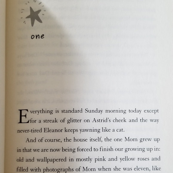 Book - Rules for Stealing Stars (young adult) - Picture 6 of 8